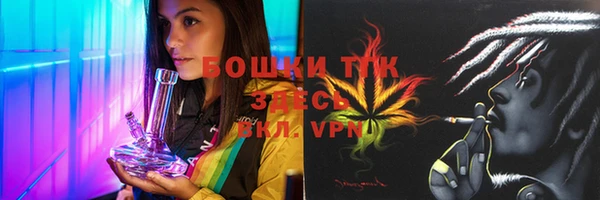 тгк Семилуки