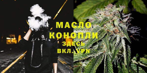 дмт Алексин