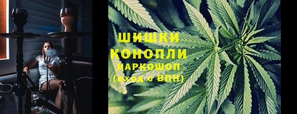тгк Семилуки
