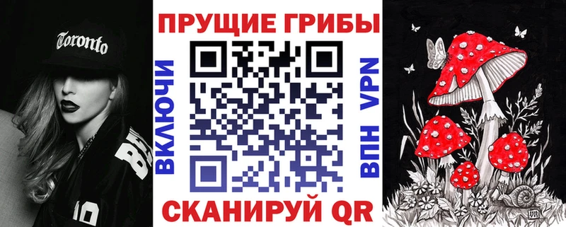 Галлюциногенные грибы Psilocybine cubensis darknet телеграм Бугуруслан цена